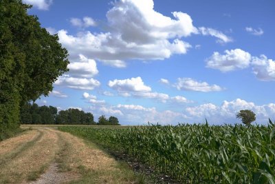 Circuit VTT N°13 - Médis