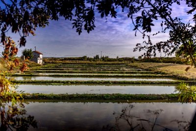 PR N°10 - Chaillevette