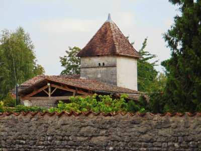 Circuit entre vignes et Nouère