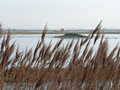 Parcours pédestre : La pointe de Parpagnole