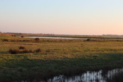 Parcours n°11 : De la réserve de Moëze au marais de Brouage