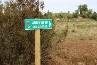 Sentier de liaison : du sentier du Requin à celui des Brandes