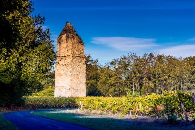 Circuit VTT N°14 - Saujon