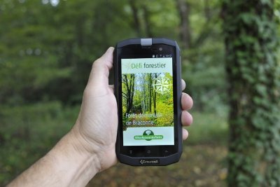 Défi forestier en Braconne