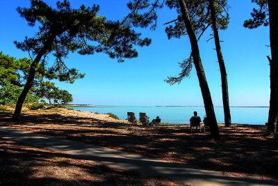 Sentier du Requin - Forêt de la Coubre