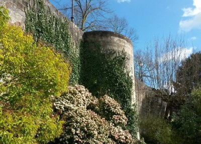 Bande dessinée et patrimoine