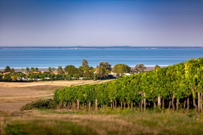 Boucle VTC (saisonnière) - Le Tour Royan Atlantique