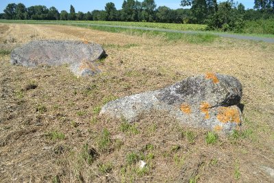 Dolmen pierre à Cerclet