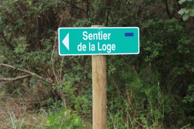 Sentier de la Loge - Forêt de la Coubre