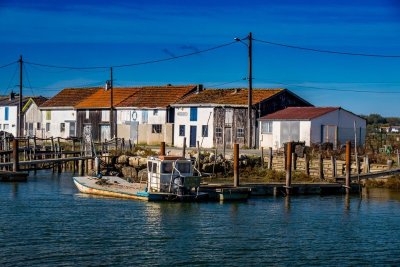 Boucle VTC - Entre Seudre et forêt de la Coubre