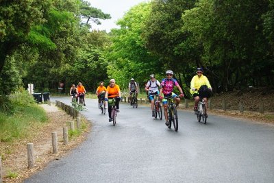 Boucle VTC (saisonnière) - Le centre de la Destination Royan Atlantique
