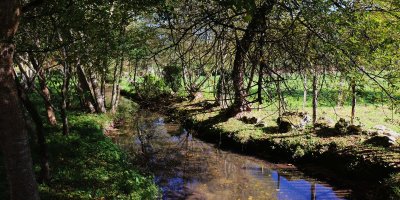 Circuit des bords de Charente