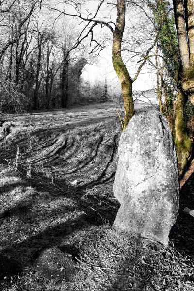 La Grande Borne PR 13 - Chives