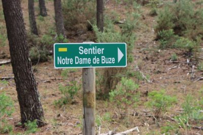 Sentier Notre-Dame-de-Buze - Forêt de la Coubre