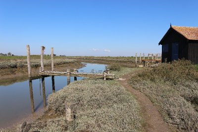 Circuit pédestre: Balade entre Petit Nieulle et Grand Nieulle