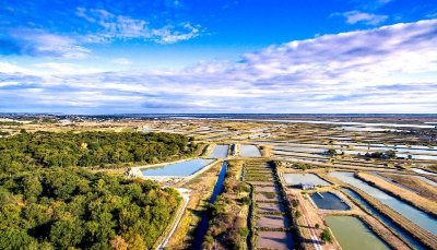 Circuit VTT N°5 - Breuillet