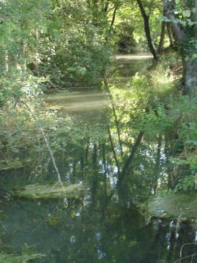 Circuit des Bois - PR 24 - Bagnizeau