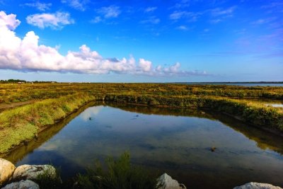 Itinéraire VTC N°11 - De Chaillevette aux Mathes