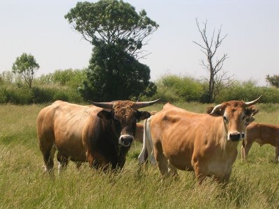 Parcours n°6 : Au coeur des îles