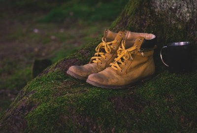 Circuit randonnée - la chenaie de Rochefort