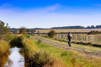 Boucle VTC - Des forêts de Coubre à Suzac par la rive droite de la Seudre