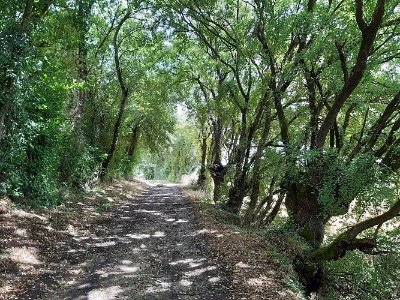 Circuit des lavoirs de Champniers