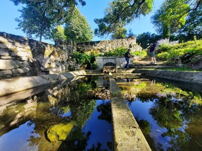 Circuit | Fins bois fine liège | Champmillon