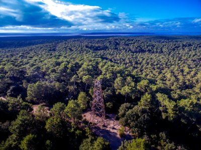 Sentier du Gardour - Forêt de la Coubre
