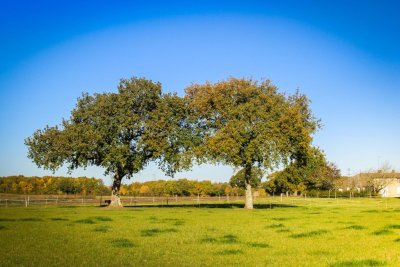 Circuit VTT N°12 - Cozes