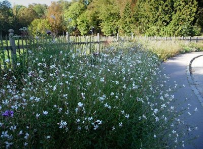 Ermenonville, une atmosphère de lande