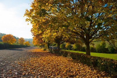 Sur les Pas de la Dame de Beauté - Randonnée en Nord-Touraine