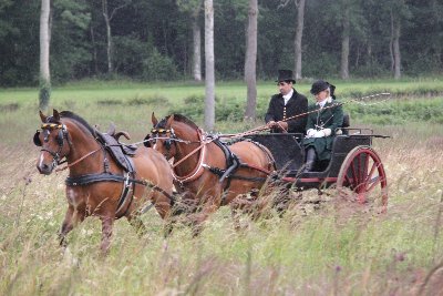 Attelages Alain Bahuchet