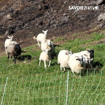 La Bergerie de Bonvillard