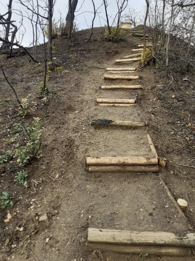 Le sentier botanique du Châtelard