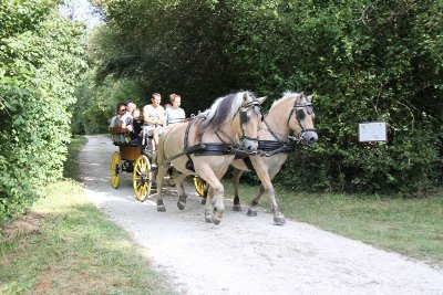 Du Prieuré de Moirax à l'église de Sainte-Marie d'Aubiac