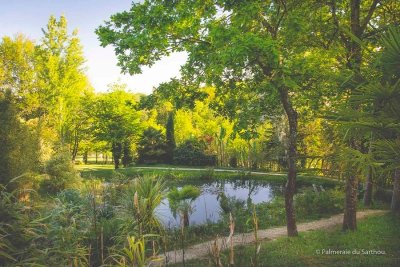 Palmeraie du Sarthou