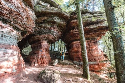 Sentier d'excellence 6 - circuit du rocher de l'Altschlossfelsen