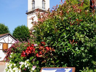 Circuit VTT 15 - Circuit des Echappées