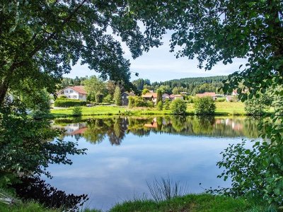 L'étang de Noir Rupt