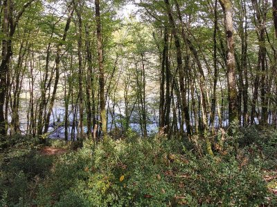 Espace naturel du Bois de la Pimpine