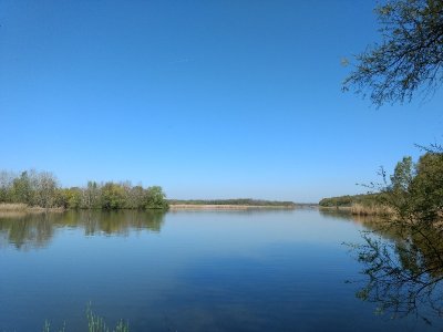 Etang de la Horre