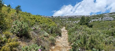 Les sources de Garlaban