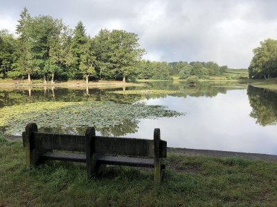 Étang de la Demoiselle