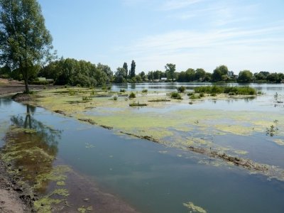 Etang de Hamel Tortequesne