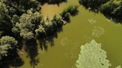 L'étang du Grand Clair
