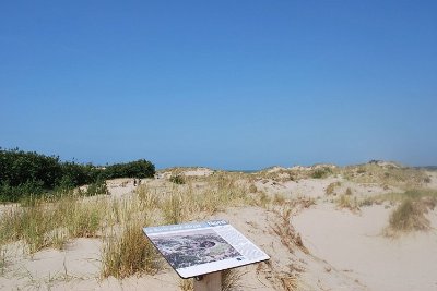 La Dune Perroquet