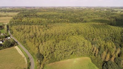 Bois de la Tassonnière