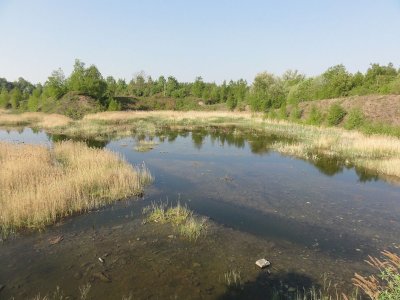 Le Terril Sainte-Marie