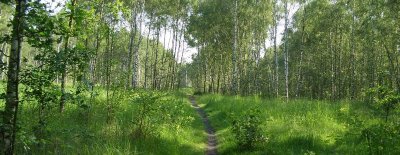 Terrils de l'Escarpelle et des Pâturelles