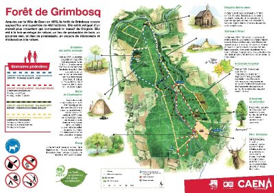 Circuit vert en forêt de Grimbosq